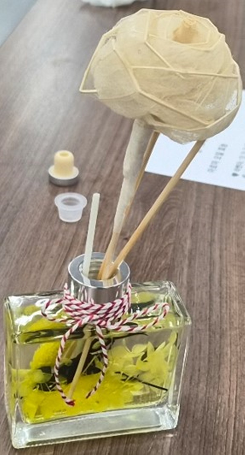 화면 캡처 2026-02-24 105853.jpg