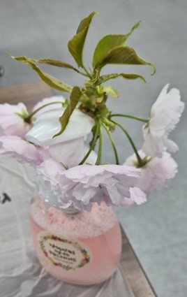 화면 캡처 2026-04-23 161826.jpg